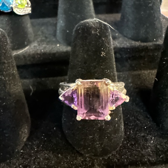 Southern Silver - Picture 16 of 16